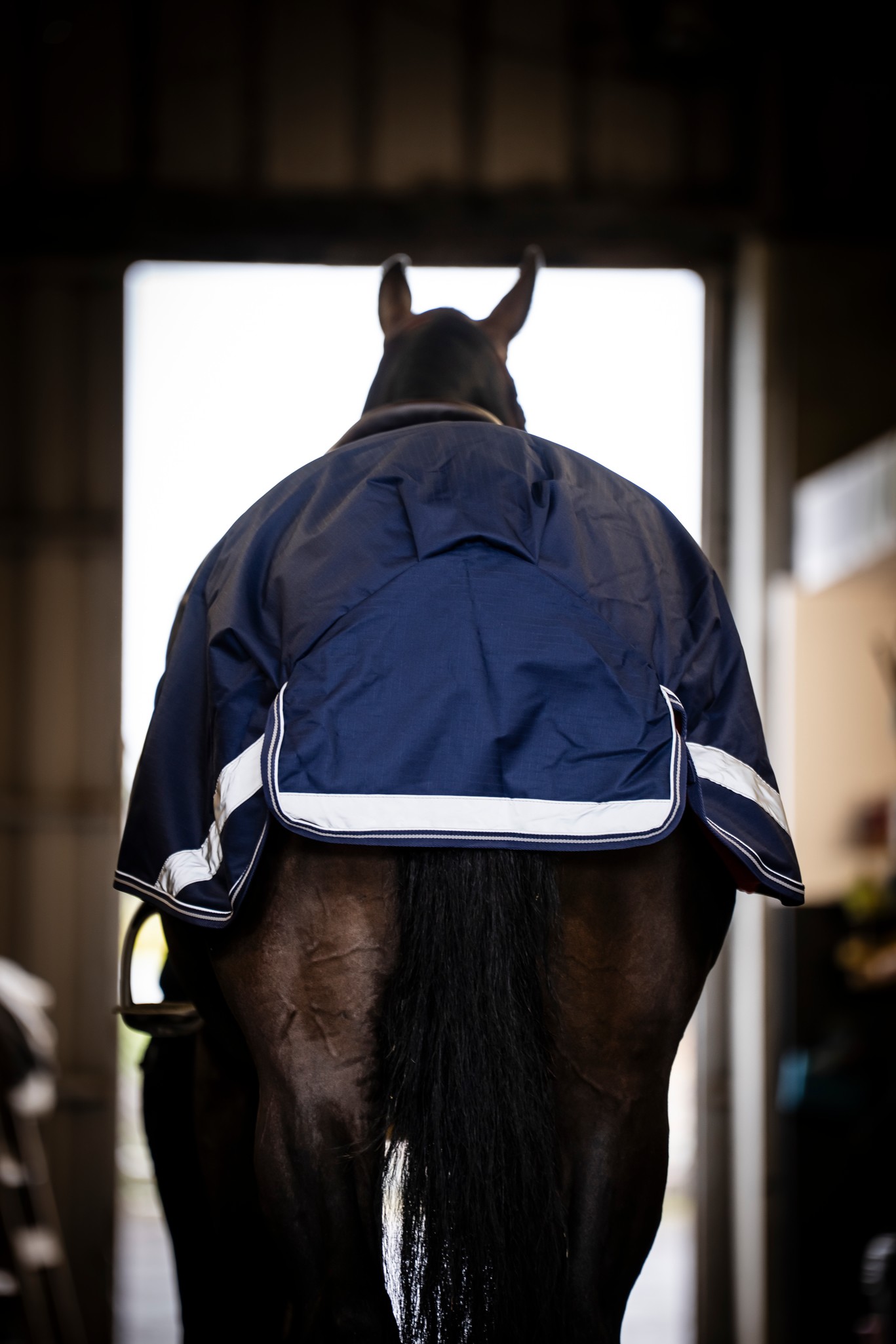 Nierendecke Riding Rug in Navy