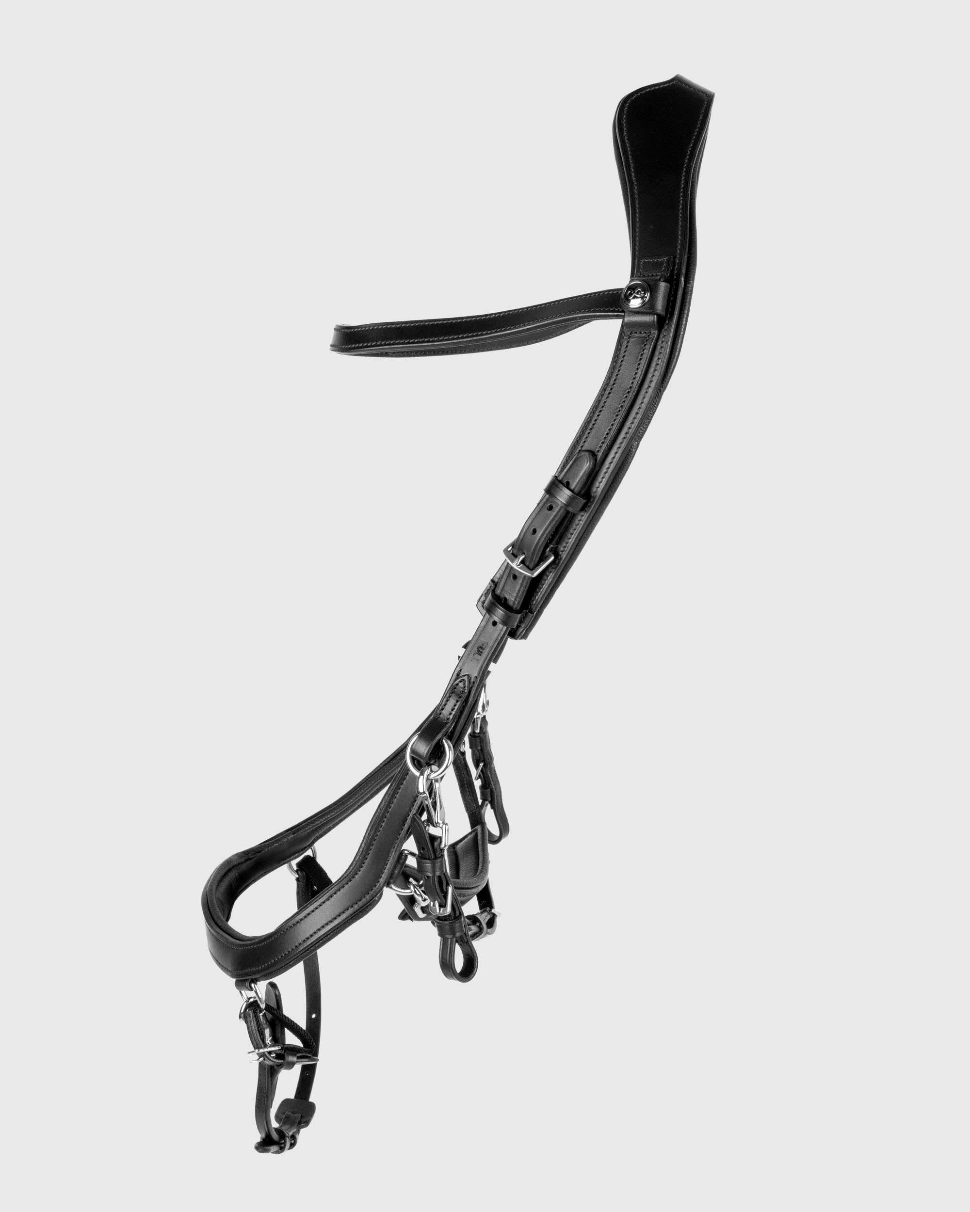 Snaffle FaySport