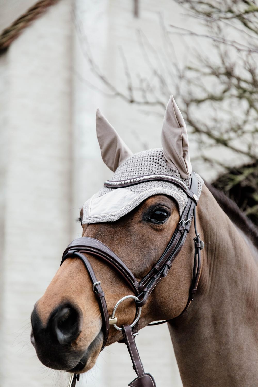 Fly ears Wellington Basic Velvet