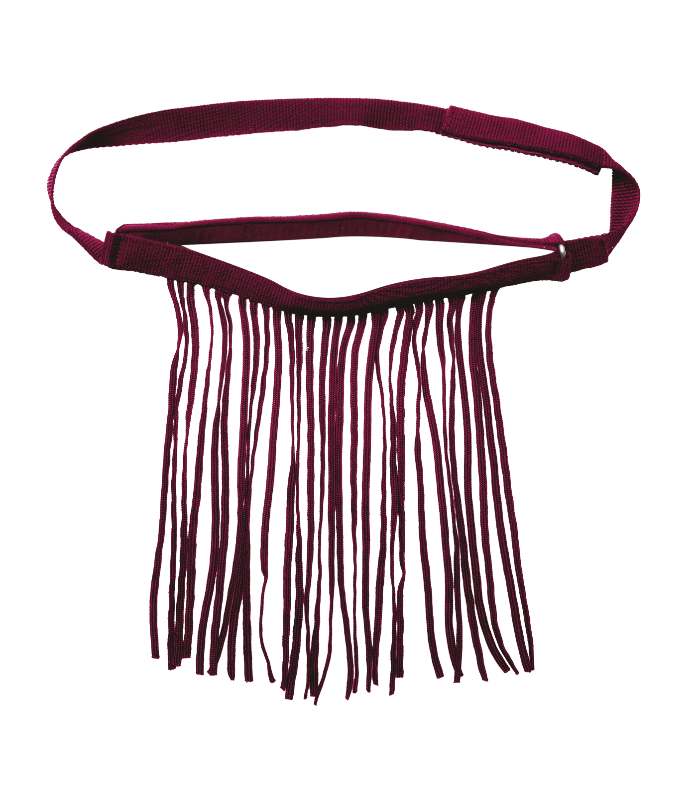 Fly fringes with head section