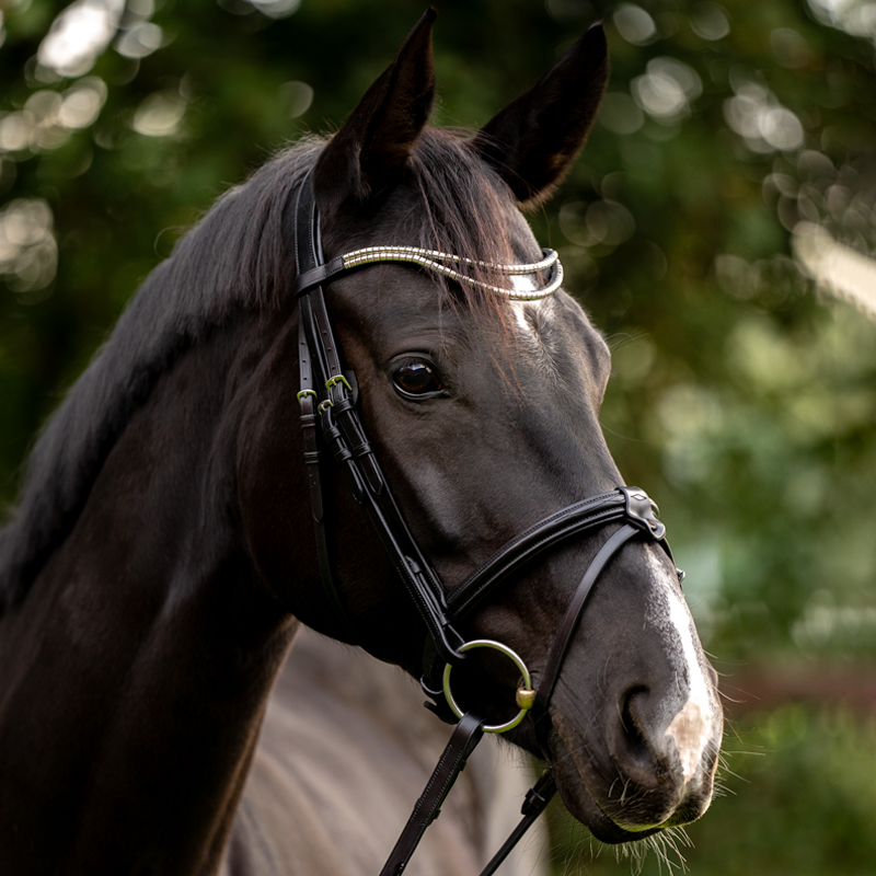 Stirnband "Clincher Duo"