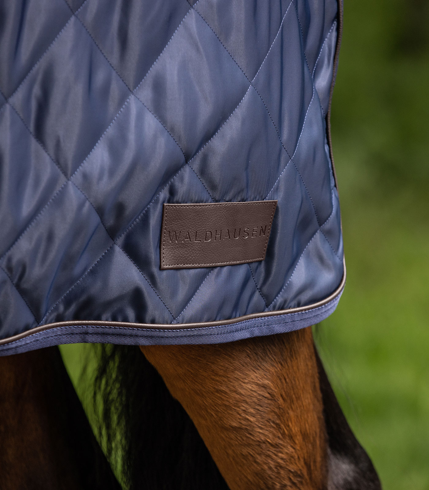 Führmaschinendecke Exclusive