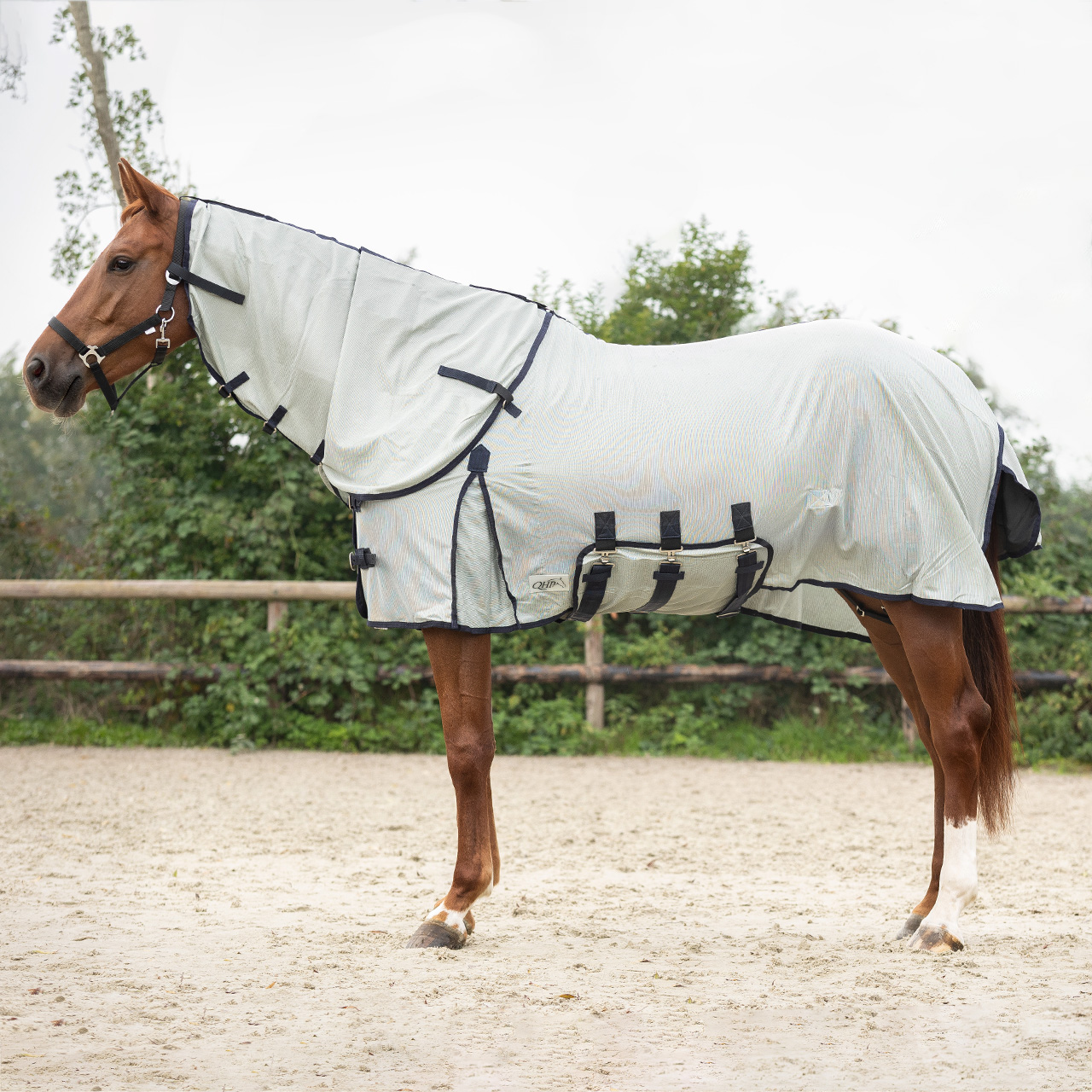 Fly rug with neck and bonnet