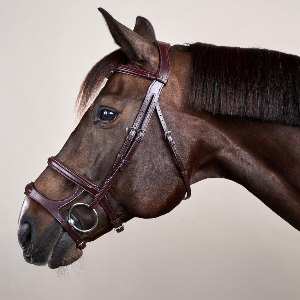 Trense mit Doppelreithalfter NE