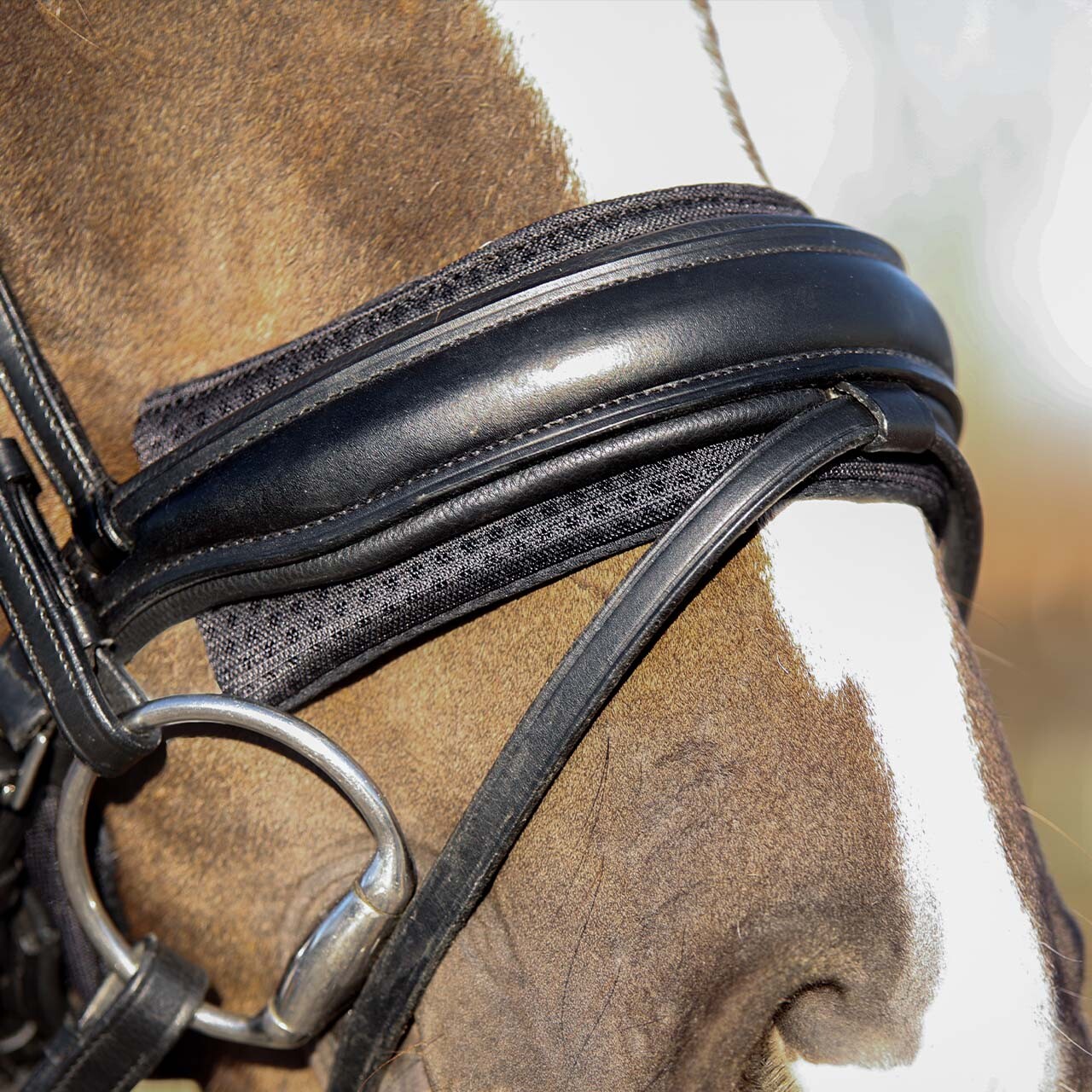 Noseband pad Air Mesh
