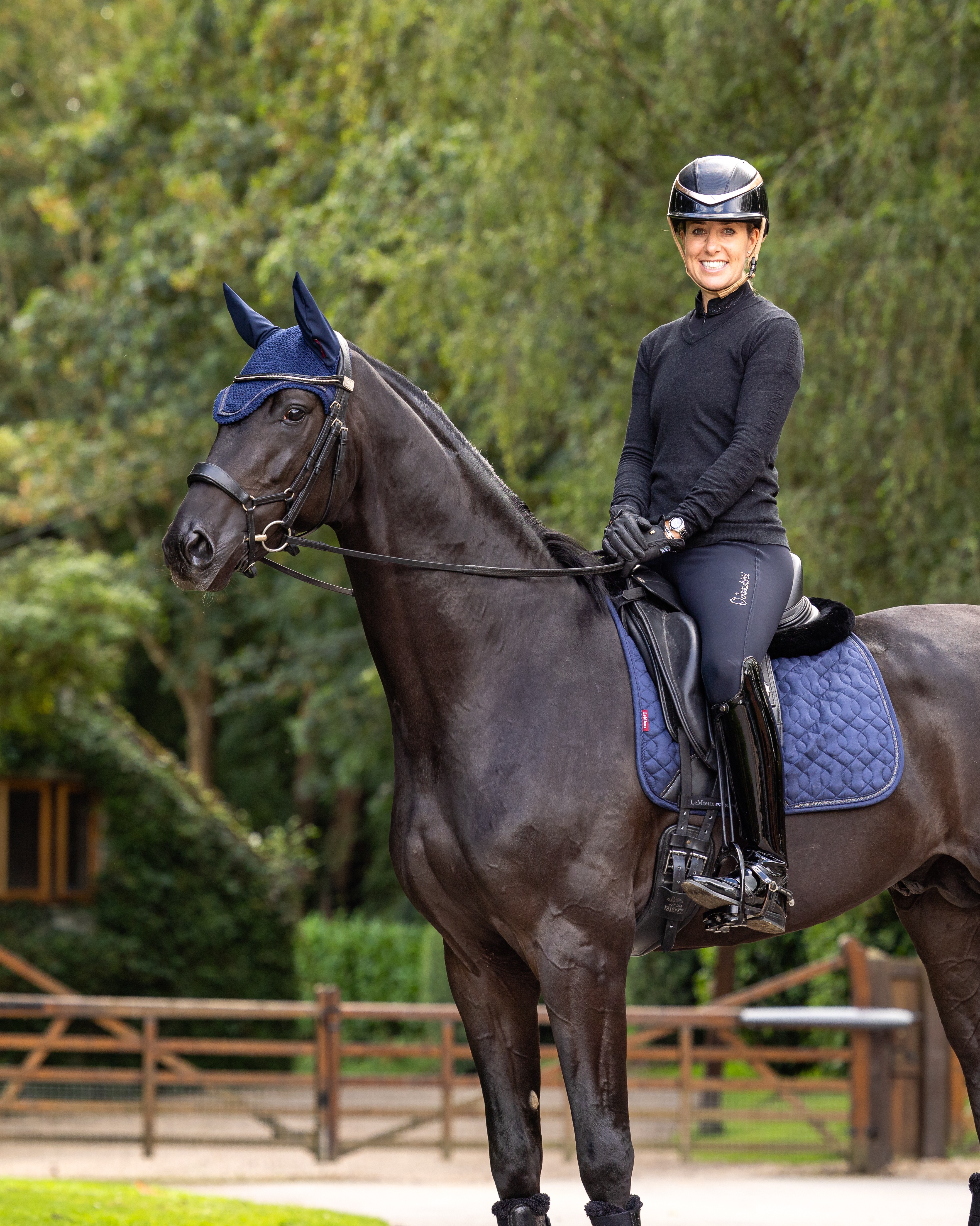 Fliegenohren Crystal