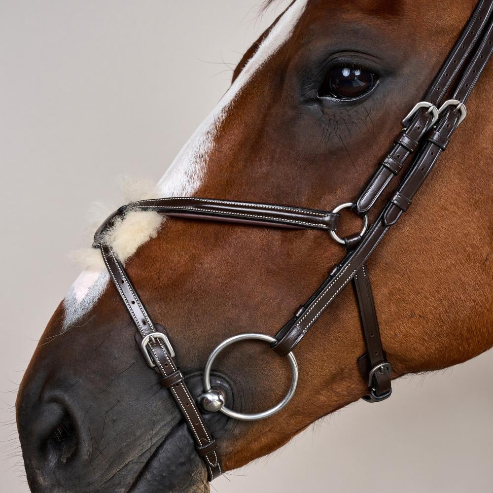 Trense mit mexikanischem Reithalfter WO