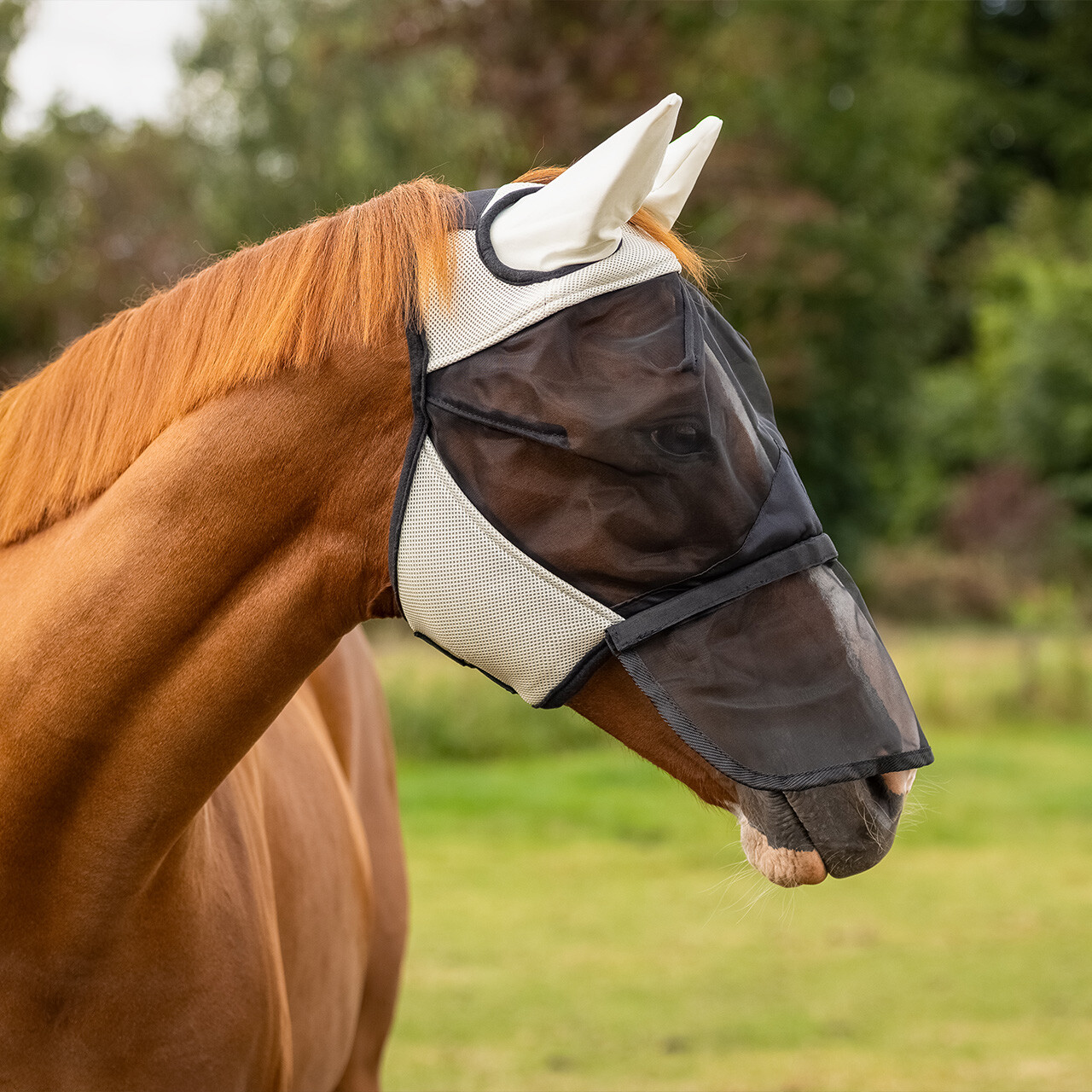 Fly mask with removable nose protection