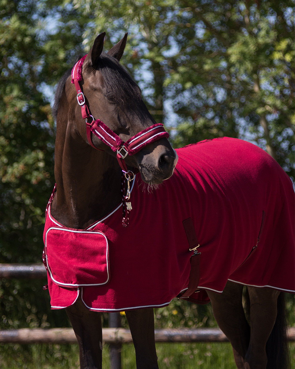 Sweat rug with ornament