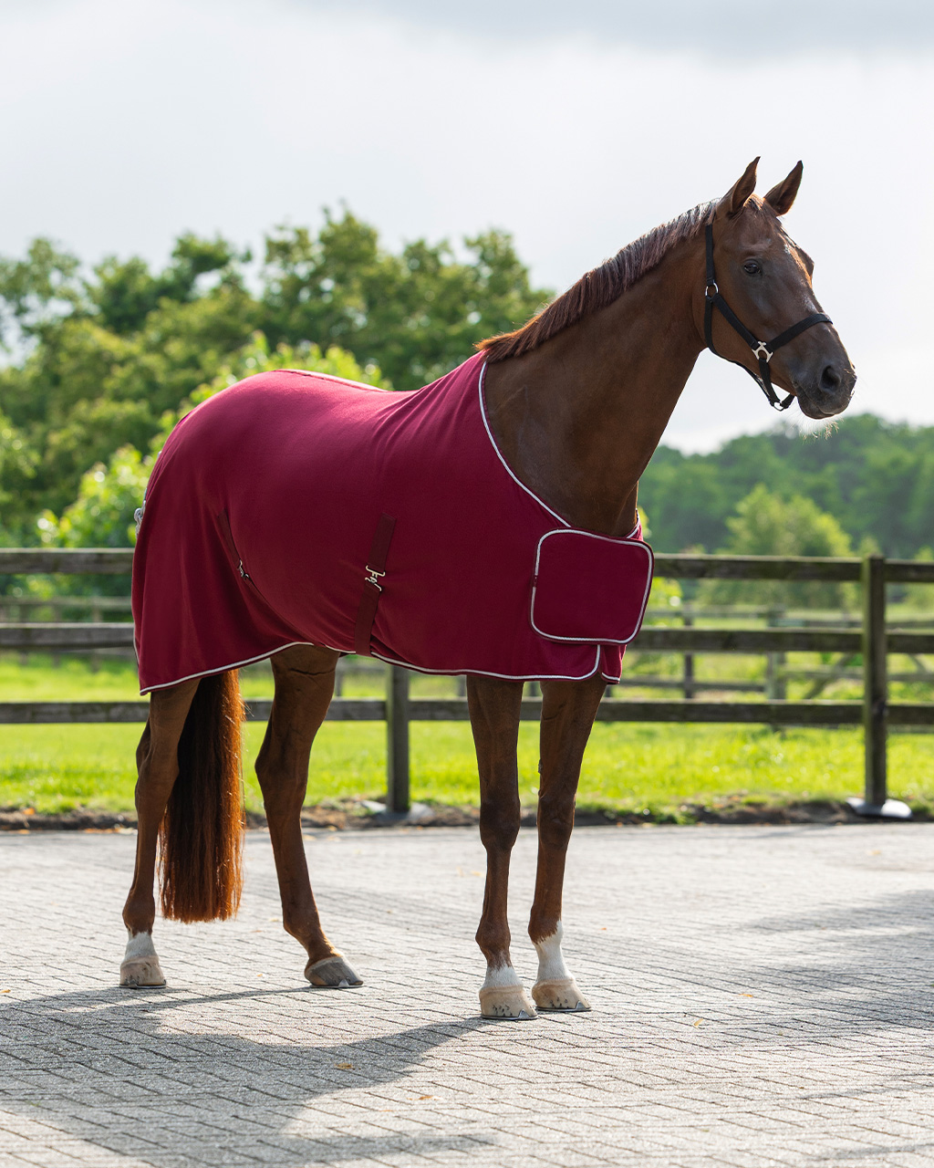 Sweat rug with ornament