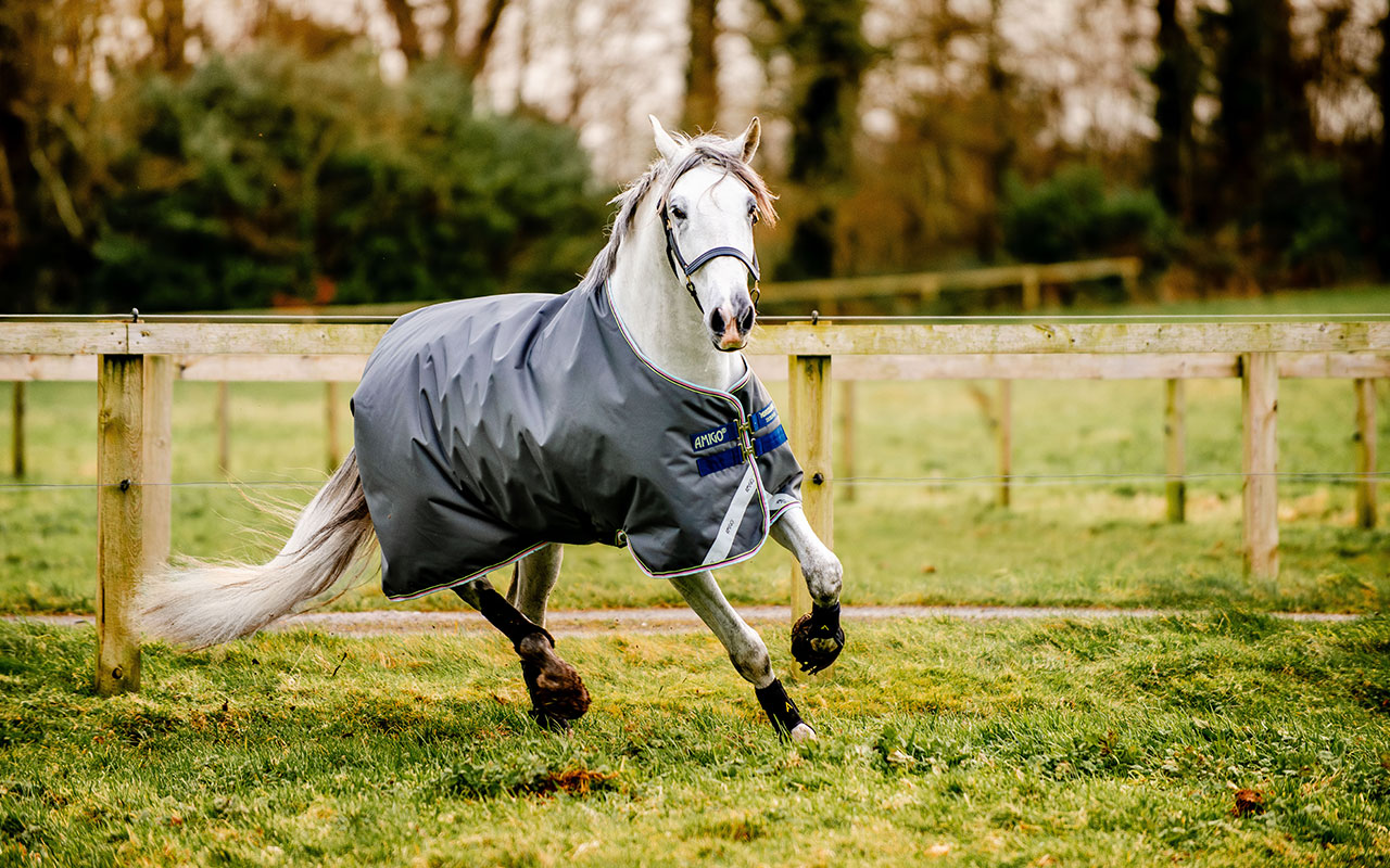 Horseware Ireland Schimmel mit Horseware Pferdedecke auf einer Weide
