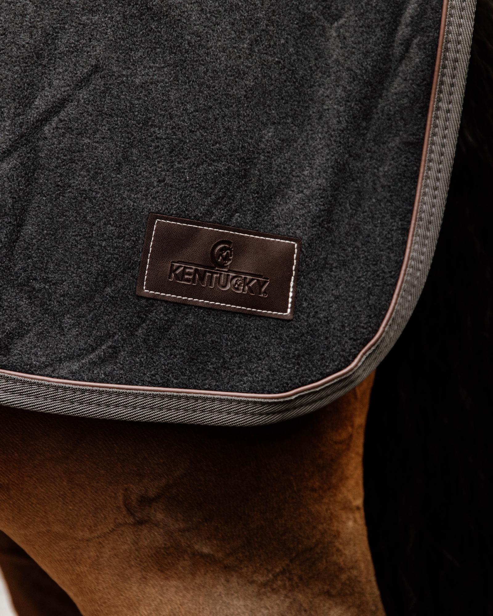 Riding rug heavy fleece