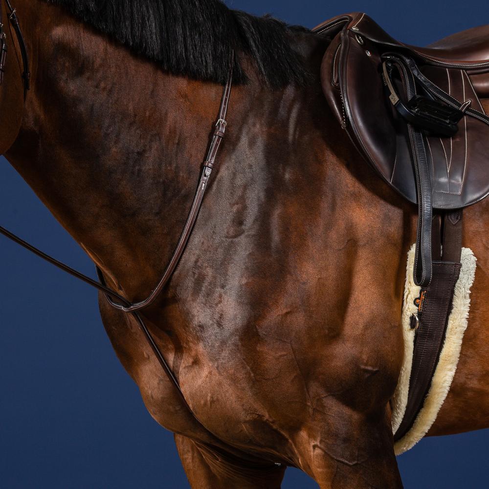 Festes martingale