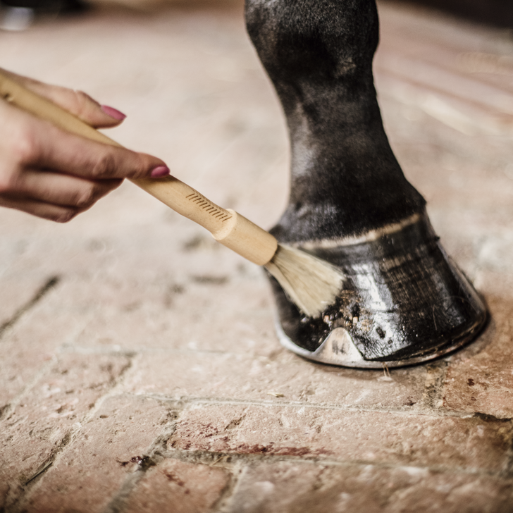 Hoof brush