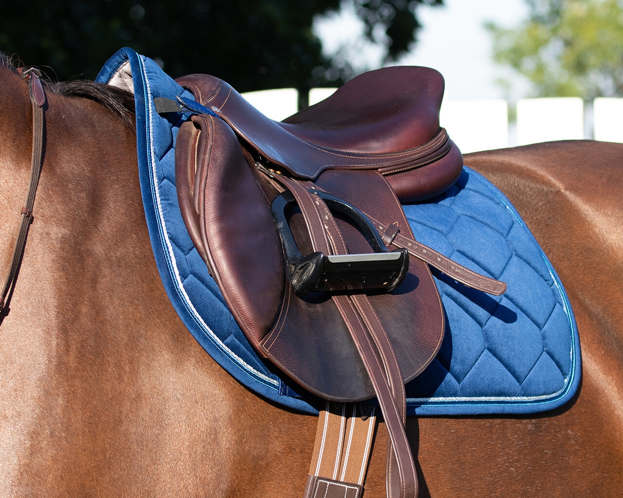 Stirrup leathers extra strong