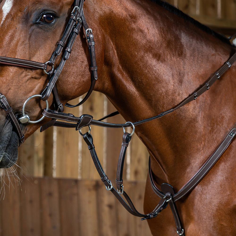 Martingale forks (ring martingale)
