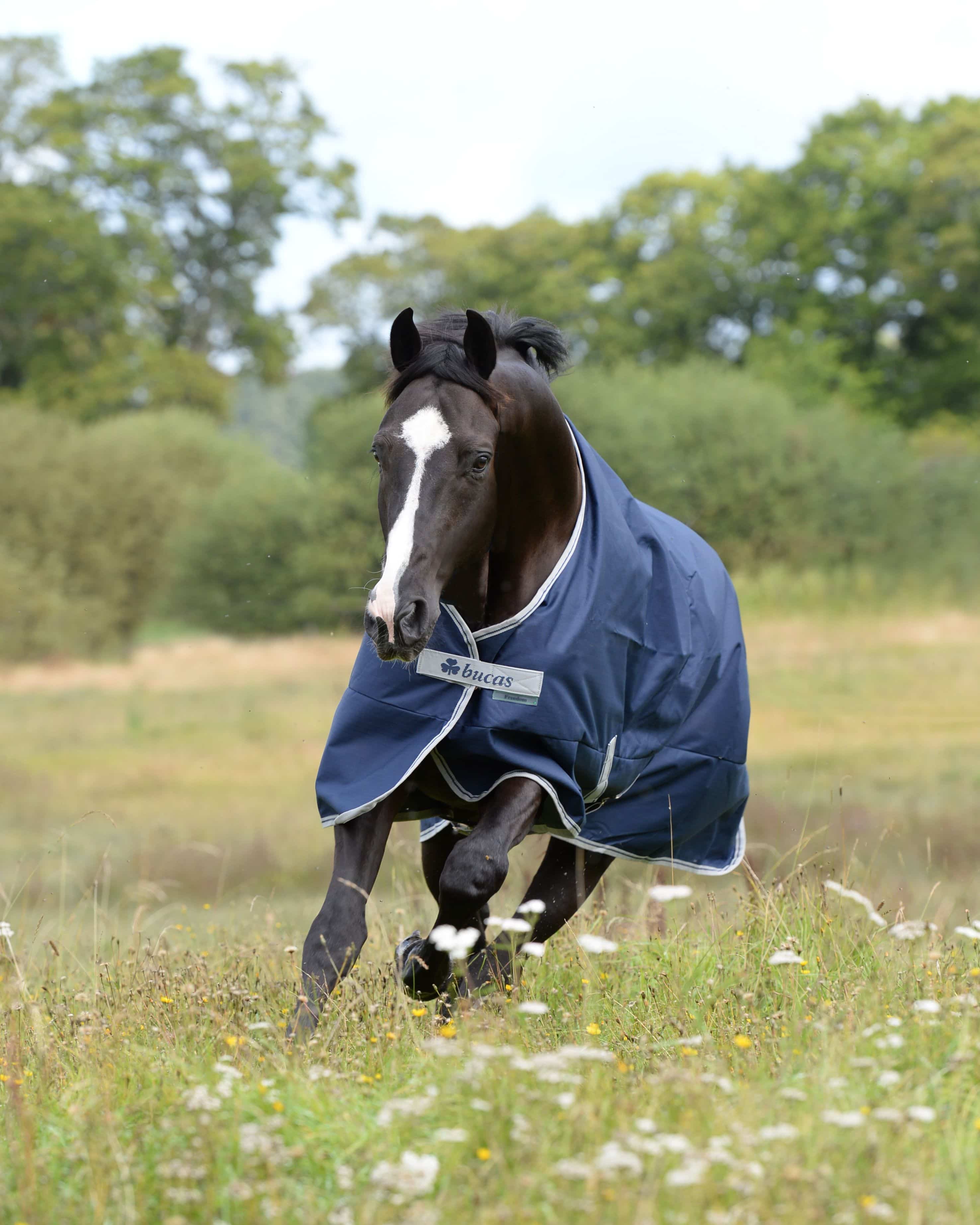 Outdoor blanket Freedom Turnout 150g