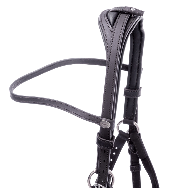 Wanderreittrense "Artemis"