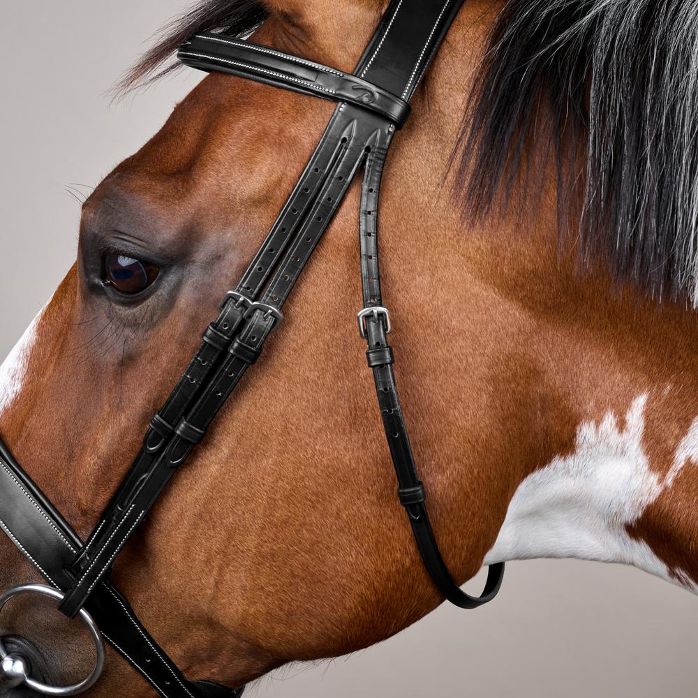 Hunter Trense mit breitem englischem Reithalfter US