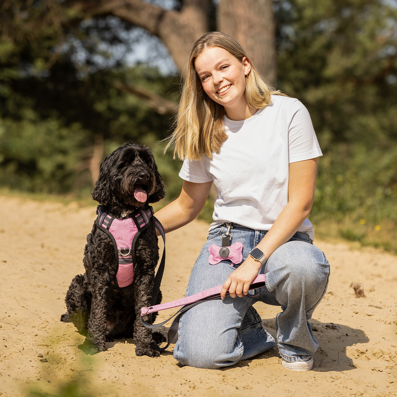 Hundekotbeutel Halter Collection