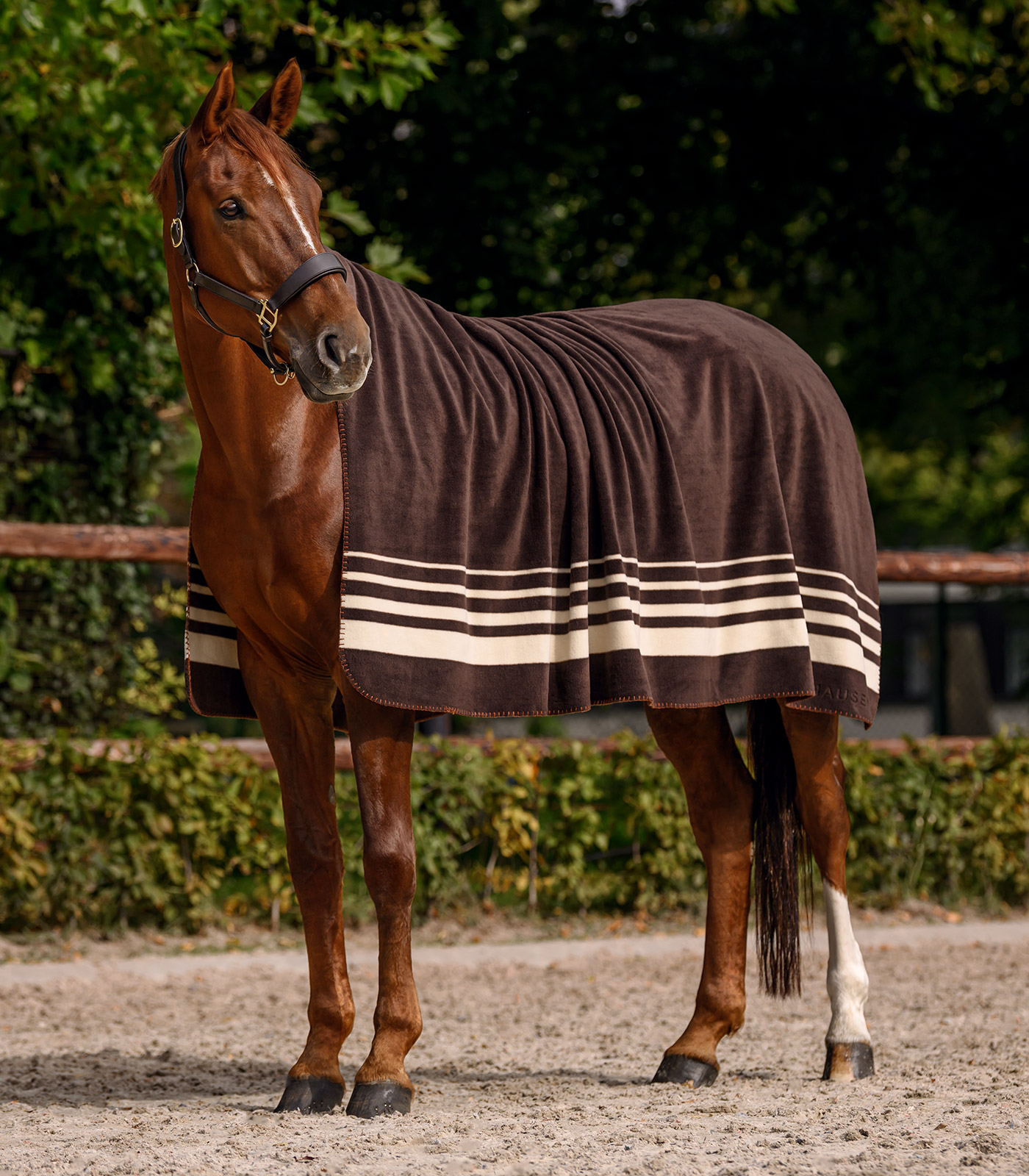 Fleece rug Sölden, Espresso