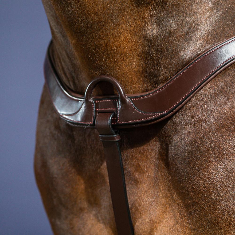 Anatomisches Vorderzeug