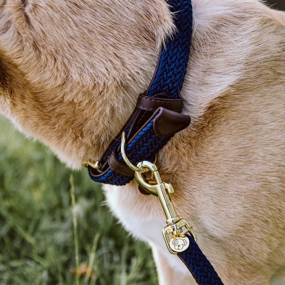 Collier de chien tressé en nylon