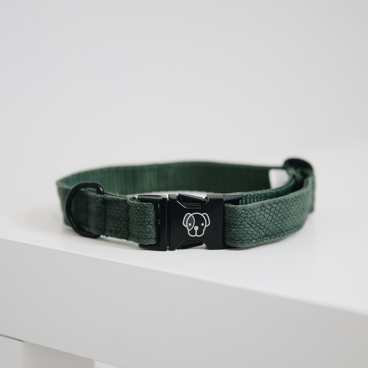 Dog collar lizard