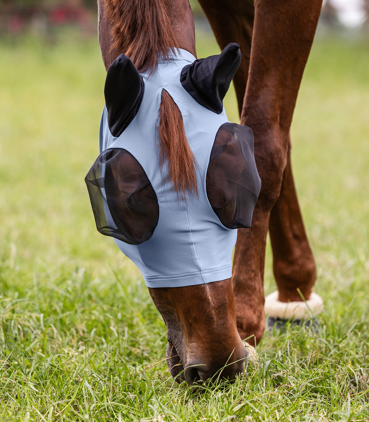 Puck fly mask