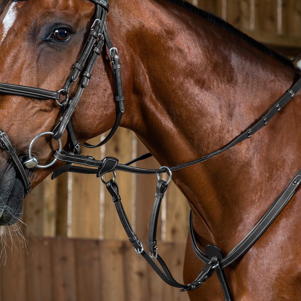 Martingale forks (ring martingale)
