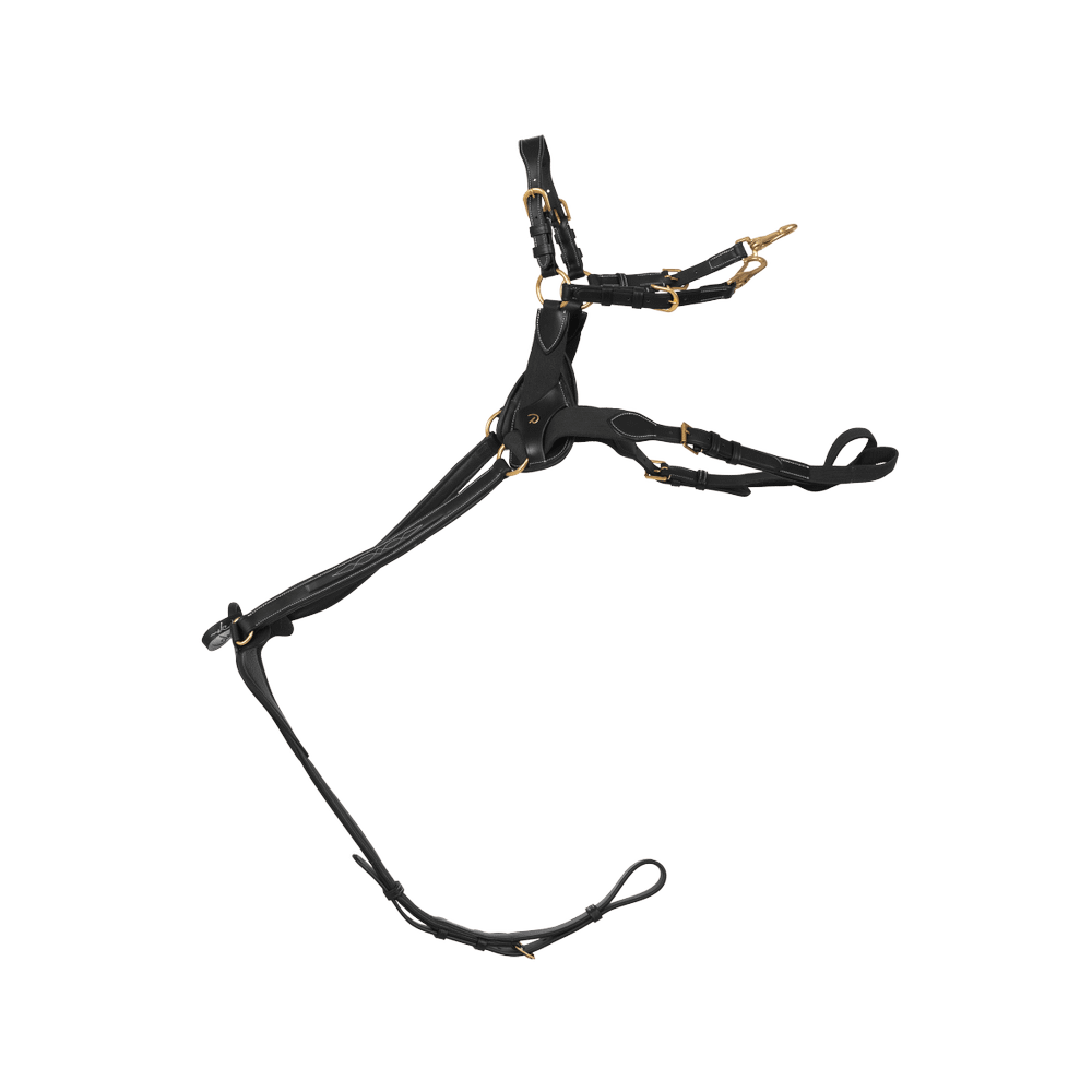 5-Punkt-Brustblatt mit Elastik | Dy'on