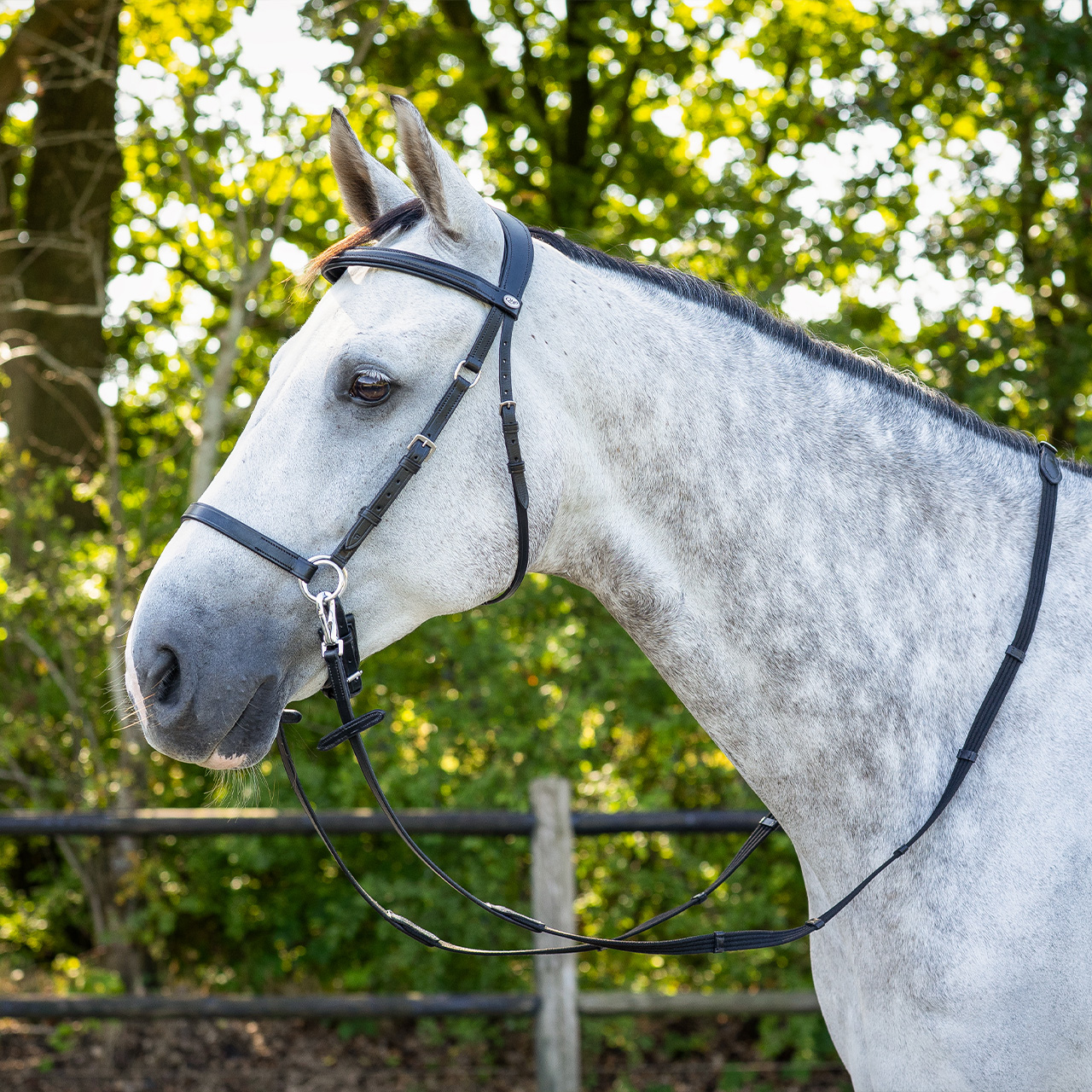 Snaffle bitless Ceto