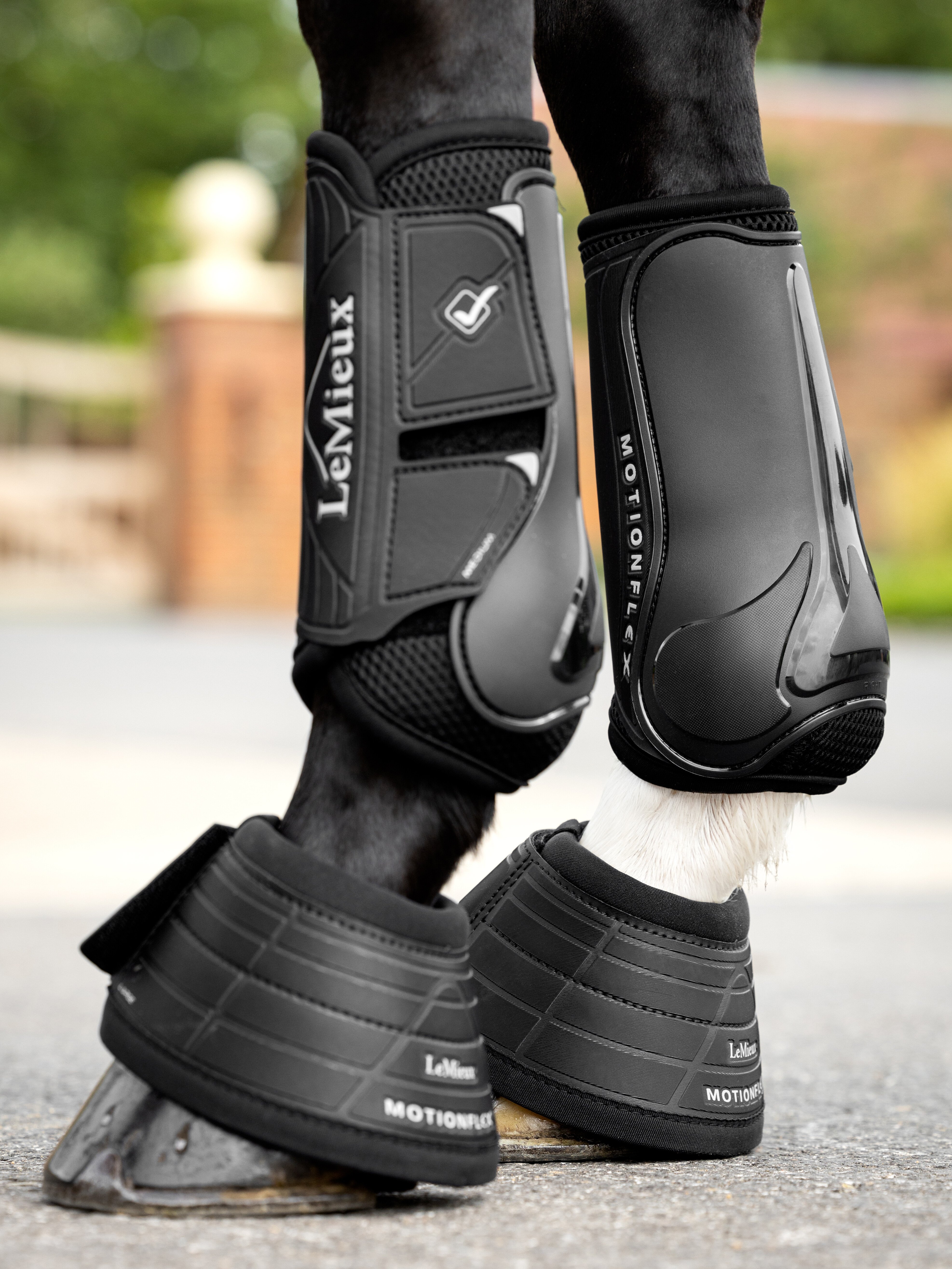 Motionflex dressage boots