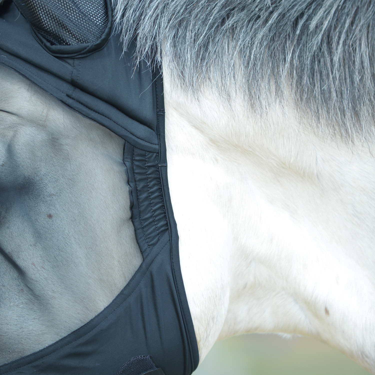 Fly mask Fly Buckler Gap II
