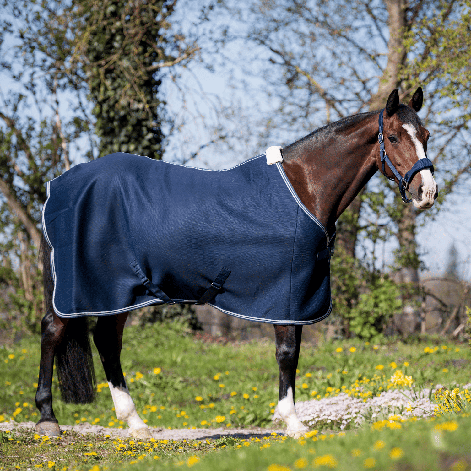 3D Air sweat rug