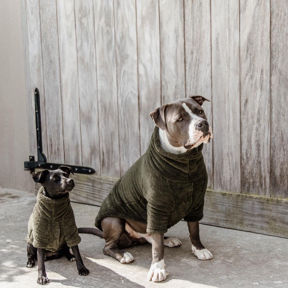 Pullover pour chien Teddy Fleece