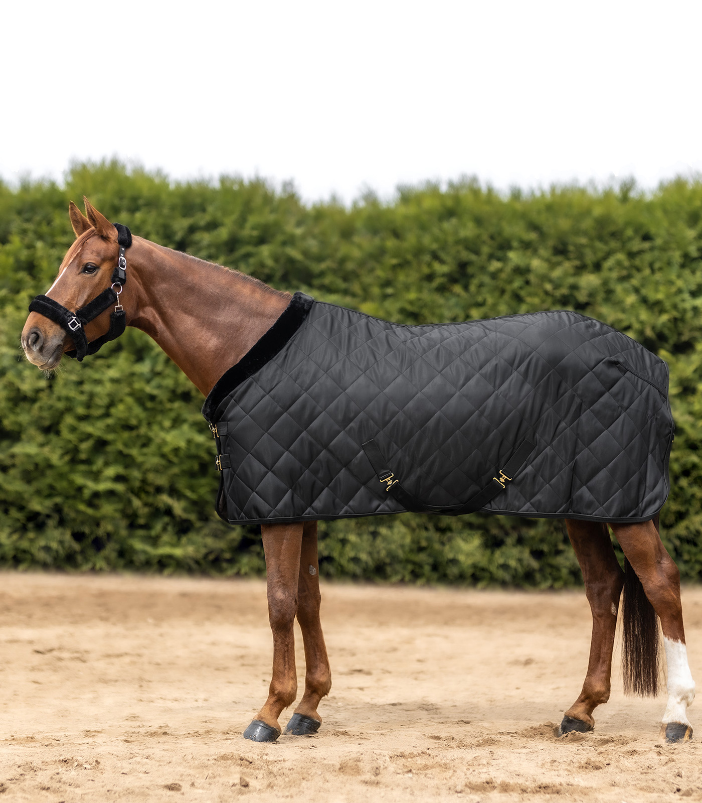 Exclusive transport blanket Exclusive transport blanket