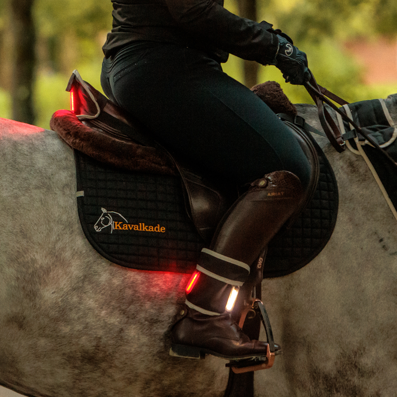 "Horselight" Set 2 -VZ+Sattelhusse-Beinmanschetten