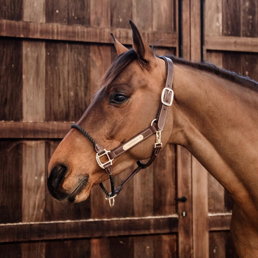 Rope leather halter
