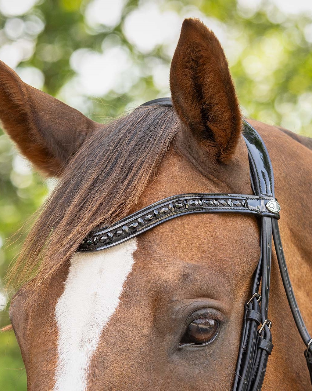 Trense Arleth in schwarz