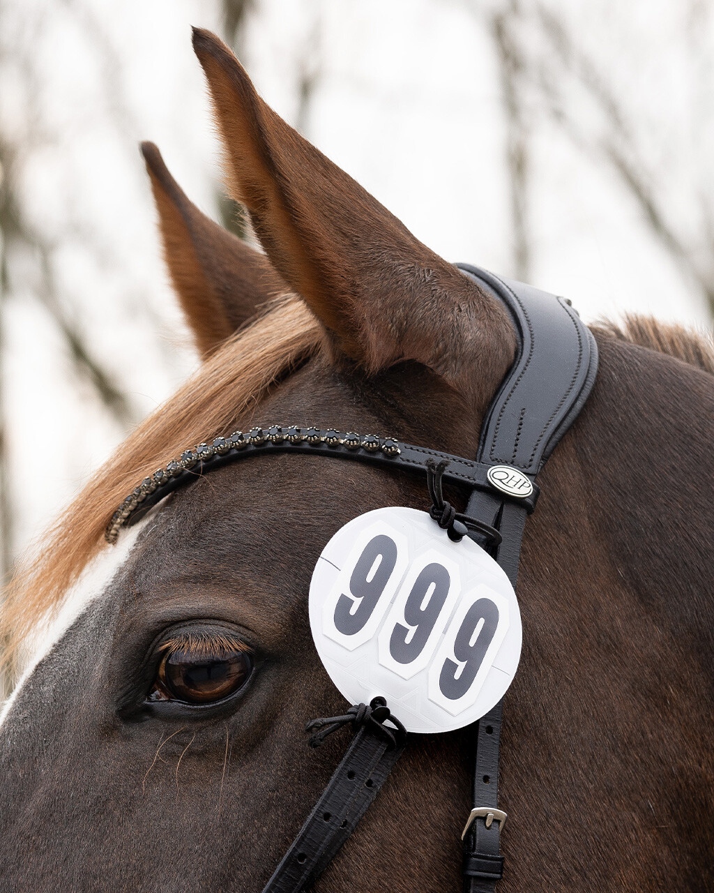 Startnummernhalter Prim (2er-Pack)