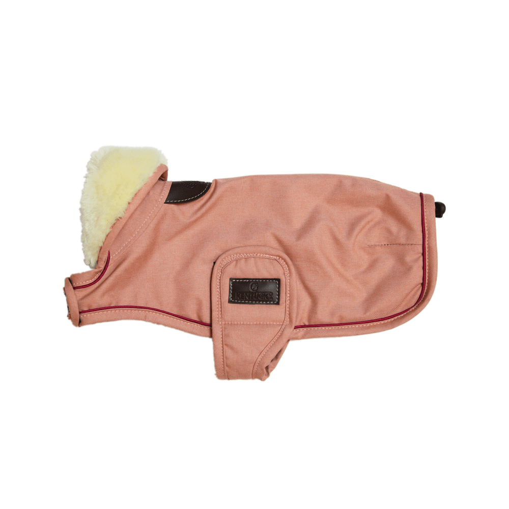 Manteau pour chien imperméable 160g