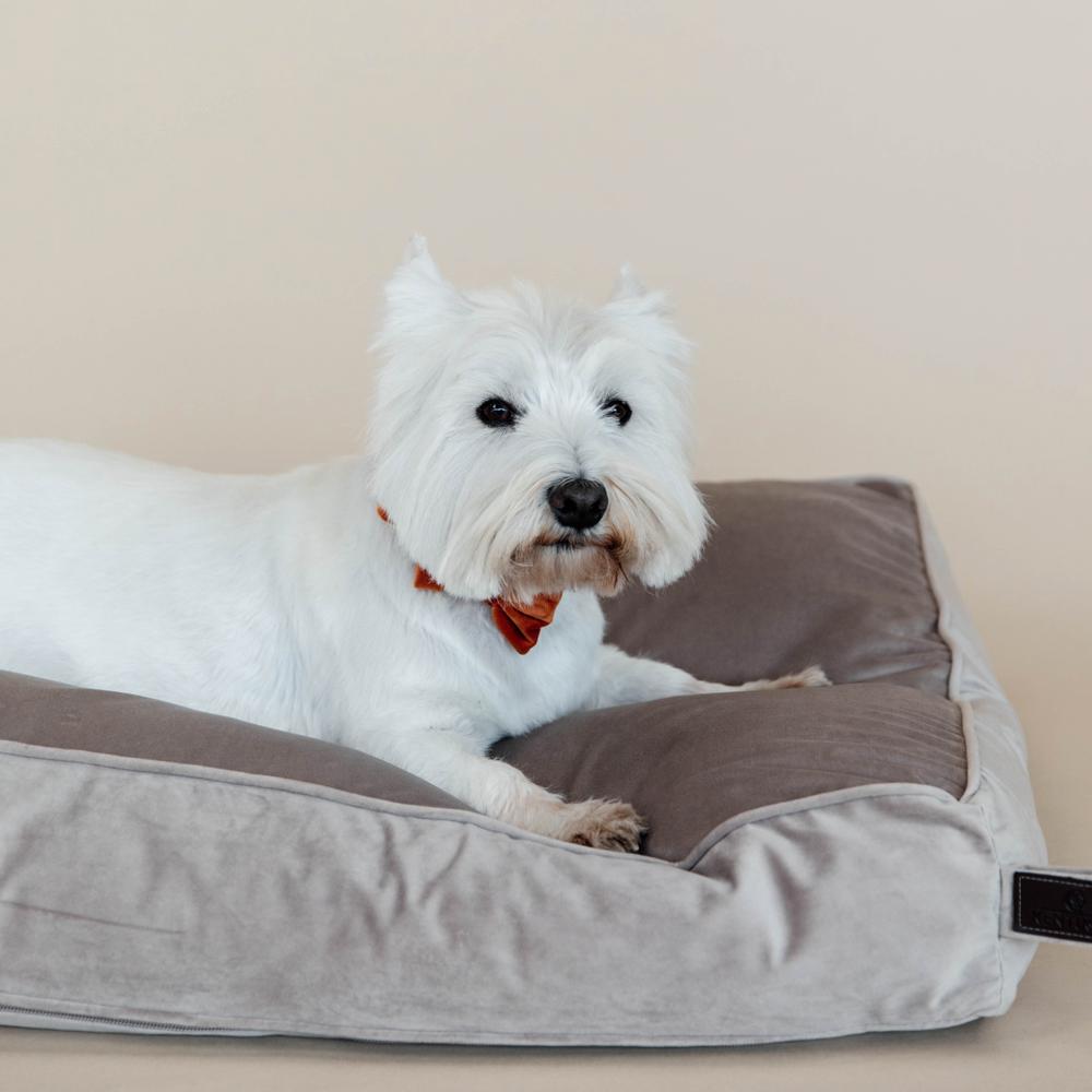 Hundekissen Velvet | Kentucky Dogwear