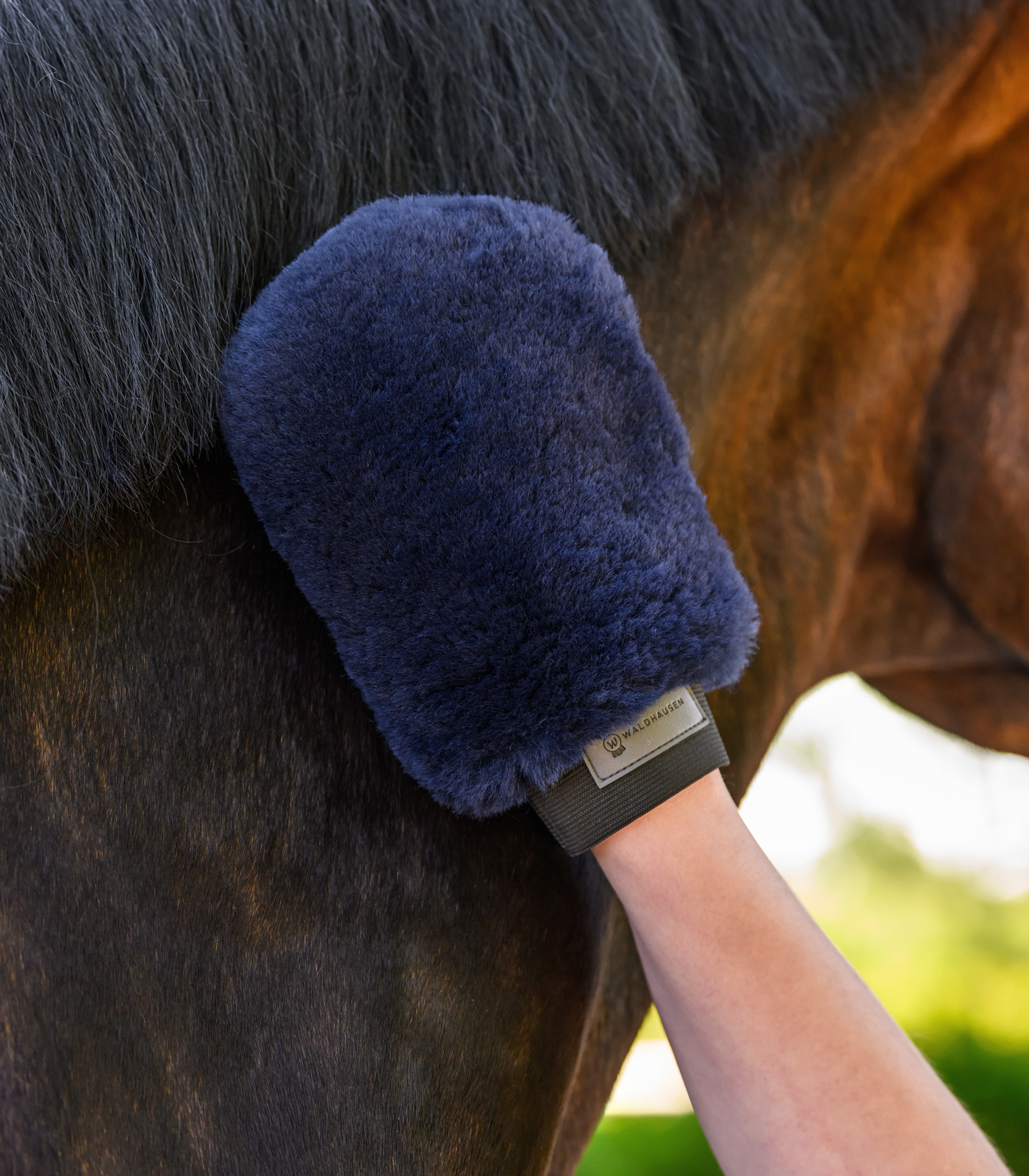 Lambskin-Grooming Glove Lucky