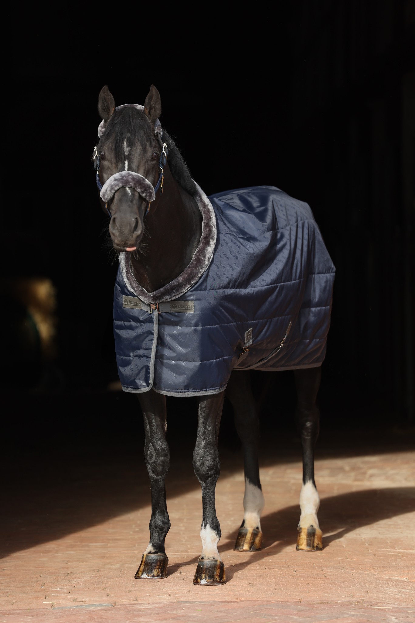 Stalldecke Show-Line in Navy/Grey
