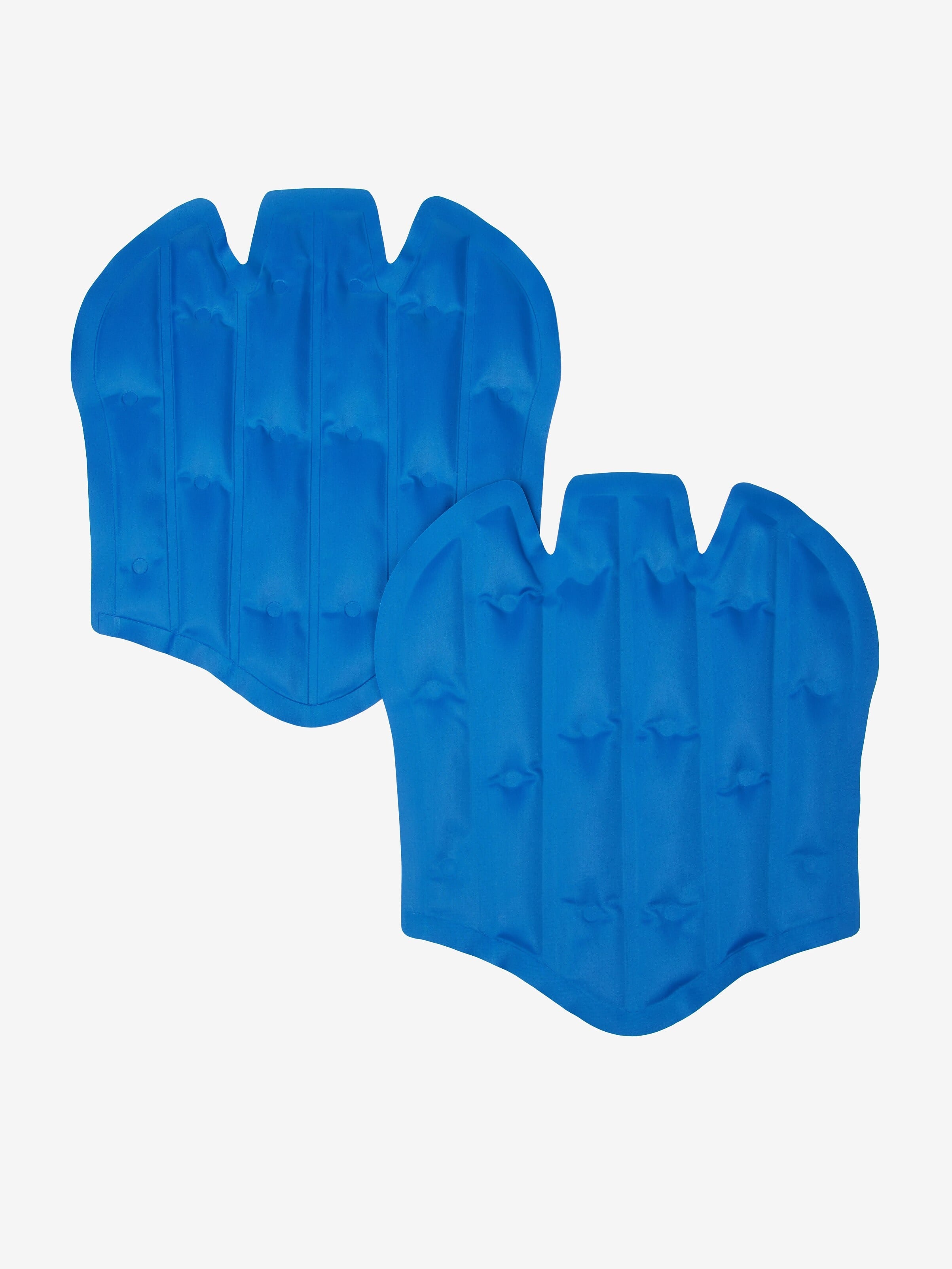 ProIce Freeze Boots Gel Packs