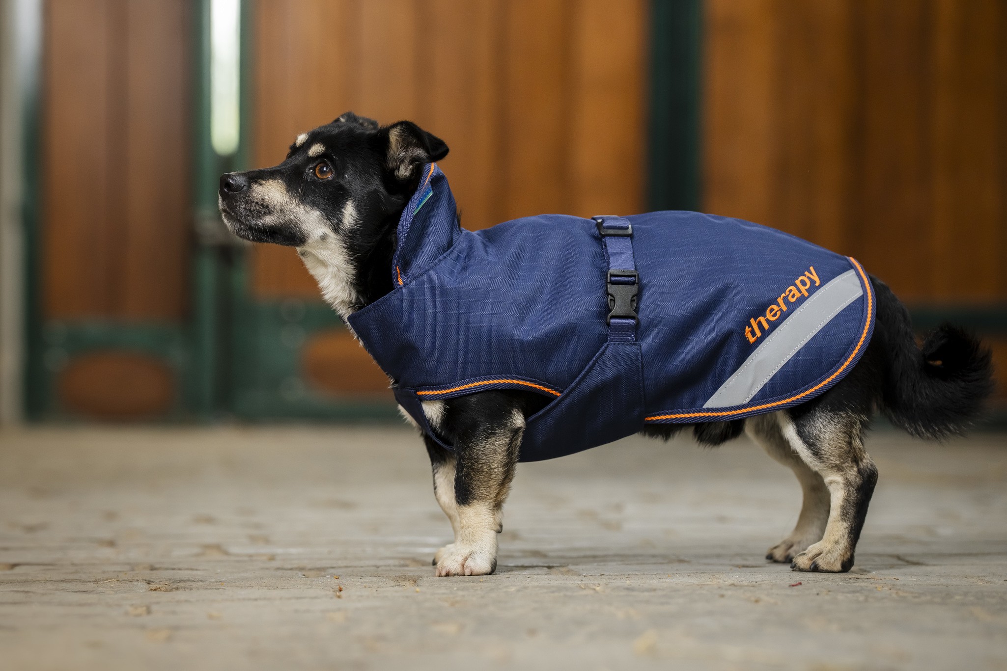 Hundedecke Therapy in Navy/Orange