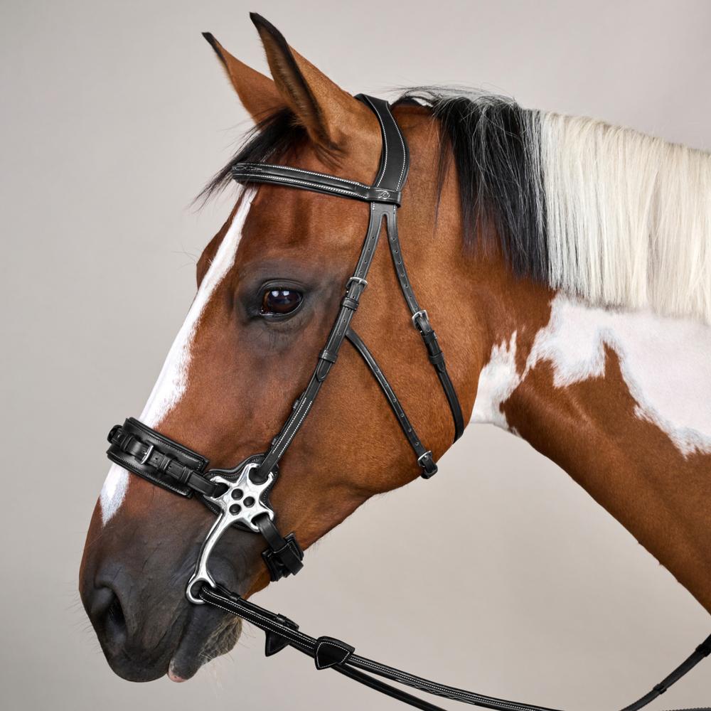 Hackamore-Zaum US