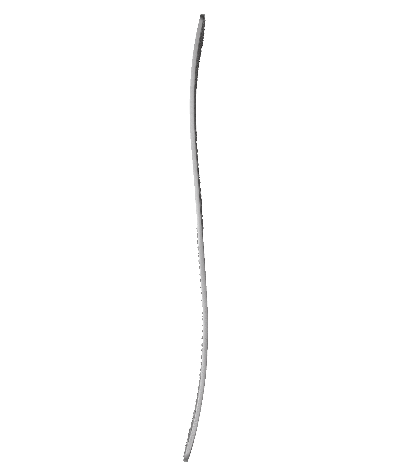 Hoof Rasp, curved, hard steel