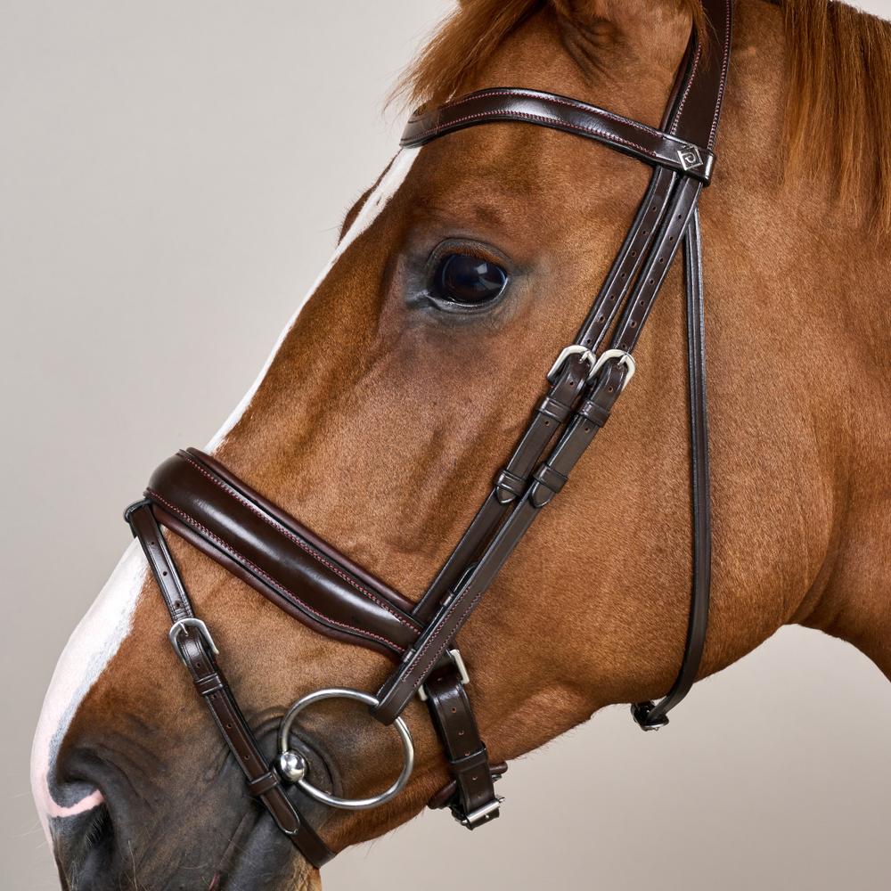 Trense mit breitem schwedischem Reithalfter WO